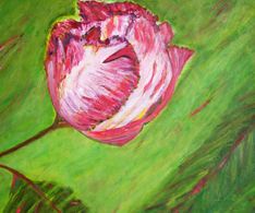 tulp 1, acryl en olie, 40 x 50 cm