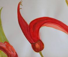 dansende bloem 1, aquarel, 20 x 30 cm