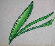 blad, krijt, 20 x 25 cm