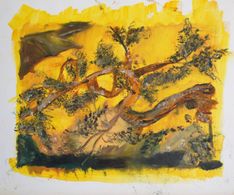 takken, olie, 20 x 30 cm